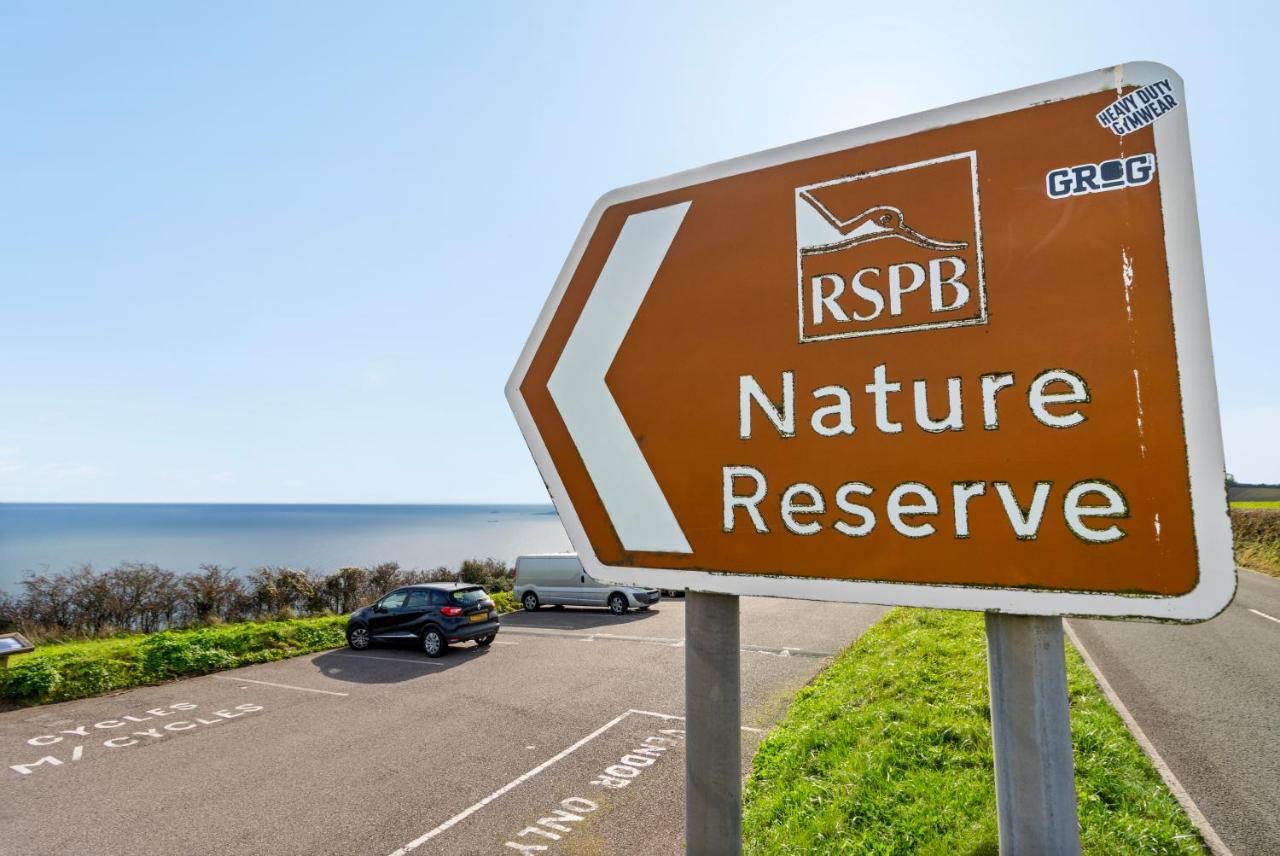 Stunning Sea View Whole Home In Torbay Close To Beach Torquay Eksteriør bilde